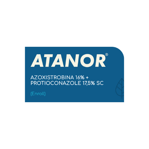 ENROLL - Azoxistrobina 16% + Protioconazole 17,5%
